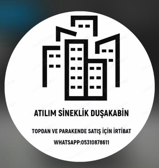 Atılım Sineklik